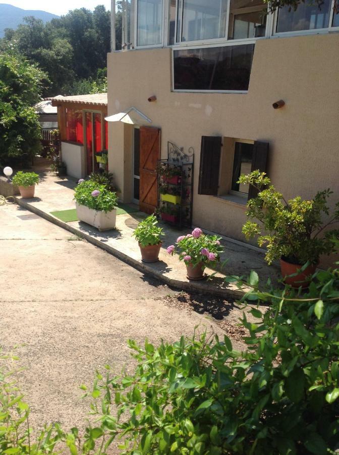 Charmant Appartement 2 Pieces Eccica-Suarella  ภายนอก รูปภาพ