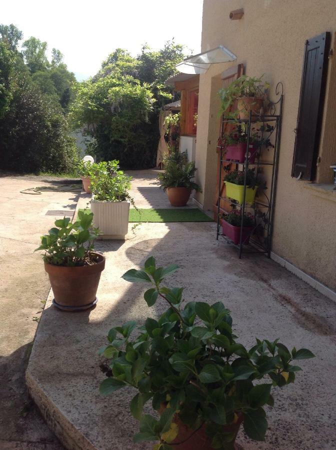 Charmant Appartement 2 Pieces Eccica-Suarella  ภายนอก รูปภาพ